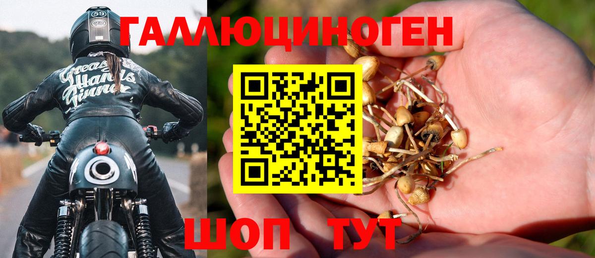 Галлюциногенные грибы мицелий Александров