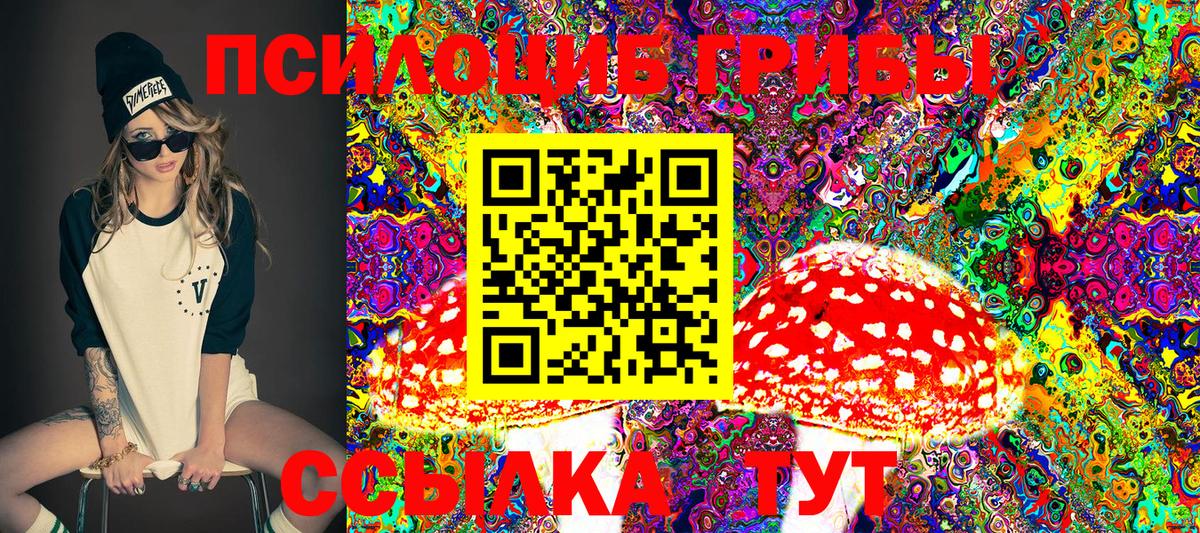 Александров  что такое наркотик  Вход с VPN  Галлюциногенные грибы мицелий 